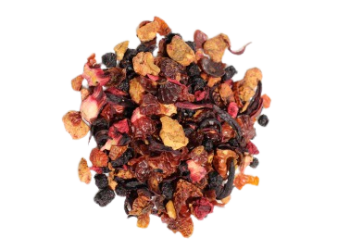 PROMENONS NOUS DANS LES BOIS