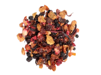 PROMENONS NOUS DANS LES BOIS