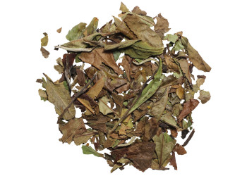 Thé Blanc - Pai Mu Tan Bio