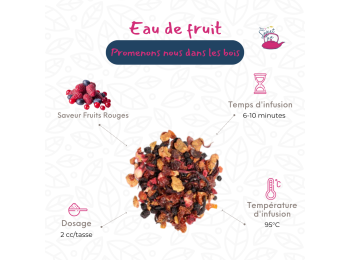 PROMENONS NOUS DANS LES BOIS