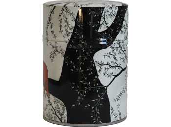 BOÎTE LUXE TOUT ILLUSTRÉ CHAT RONRON