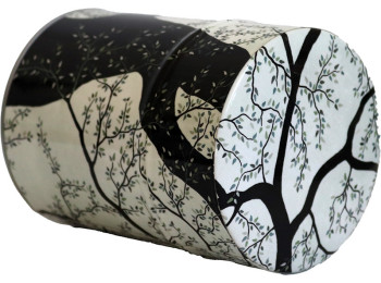 BOÎTE LUXE TOUT ILLUSTRÉ CHAT RONRON