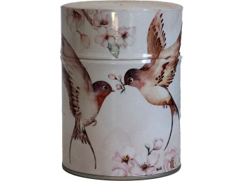 BOÎTE LUXE TOUT ILLUSTRÉ COLIBRIS