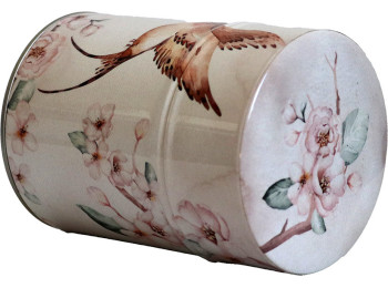 BOÎTE LUXE TOUT ILLUSTRÉ COLIBRIS