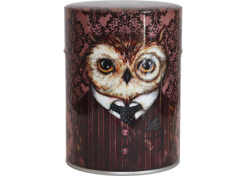 BOÎTE LUXE TOUT ILLUSTRÉ SIR HIBOUX