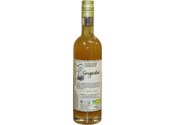 SIROP ARTISANAL GINGEMBRE 25CL BIO