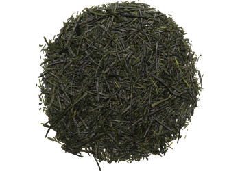 SENCHA SAEMIDORI- RECOLTE 2025 "WADA CHOUJI"