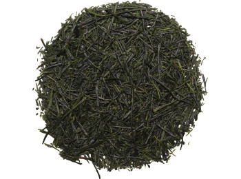 SENCHA SAEMIDORI- RECOLTE 2025 "WADA CHOUJI"
