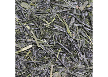 FUKAMUSHI YABUKITA MEDIUM STEAM BIO