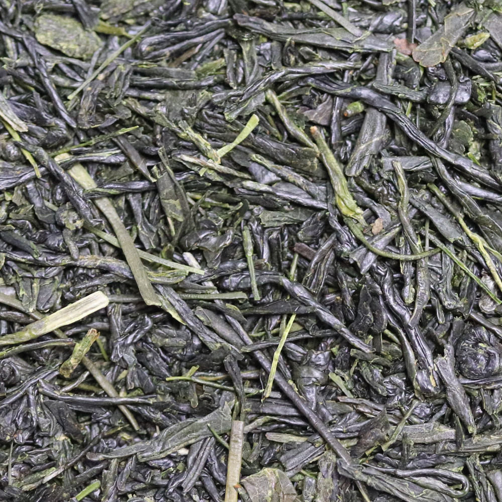 FUKAMUSHI YABUKITA MEDIUM STEAM BIO