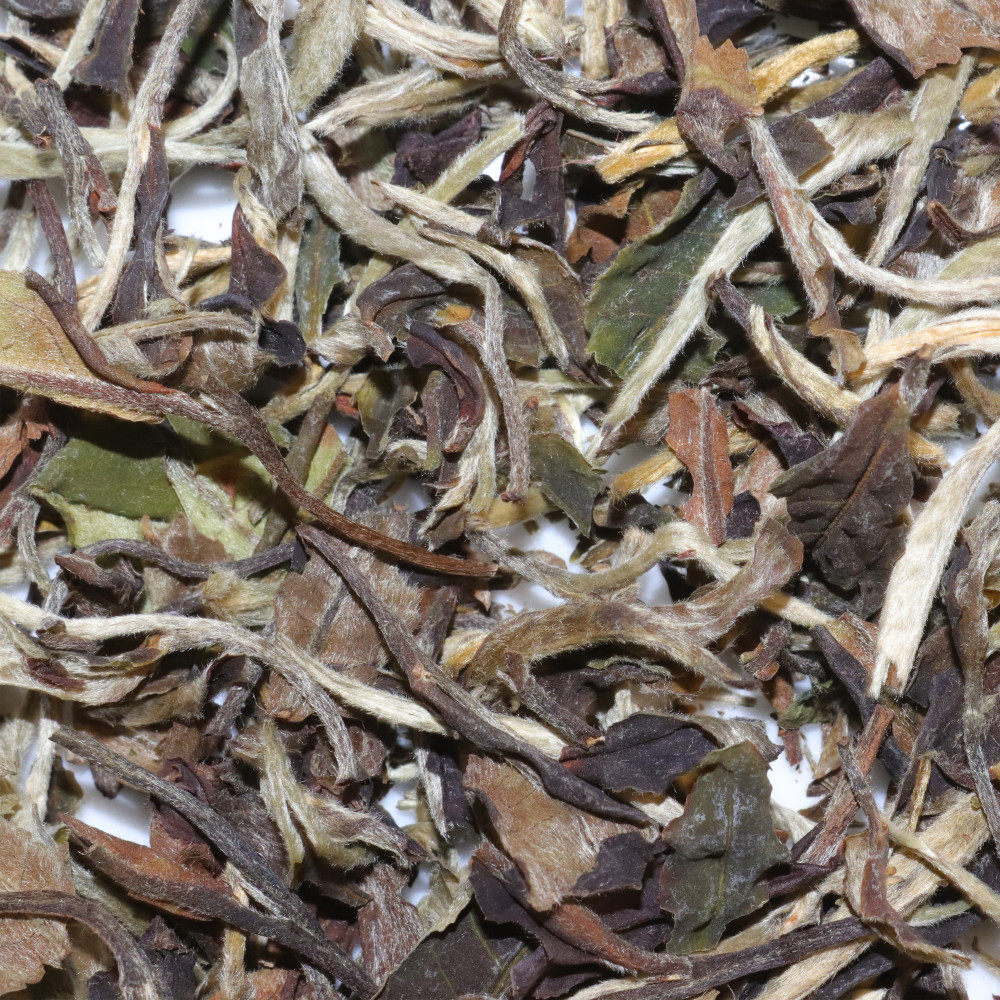 Thé Blanc - Pai Mu Tan Bio