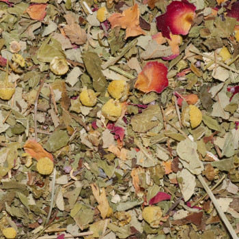 My Sweet Tea - Tisane - Jardin des plantes
