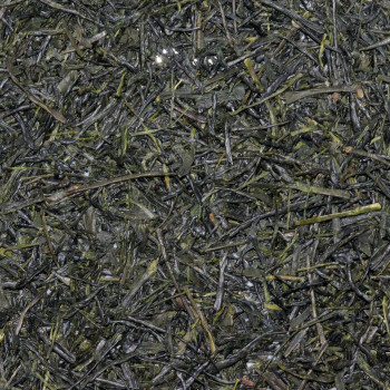 FUKAMUSHI SENCHA TSUYUHIKARI - RECOLTE 2025